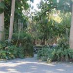 Avoca Park - Holiday Byron Bay 0