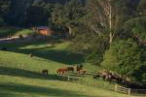Amaroo Valley Springs - Holiday Byron Bay 0