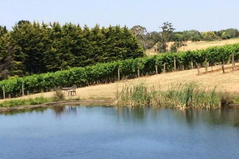 Seville Estate - Holiday Byron Bay 3