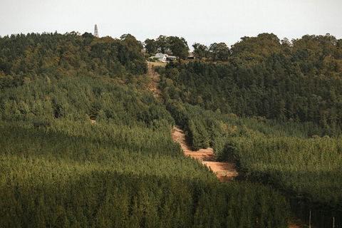 Nannup Hideaway - Holiday Byron Bay 4