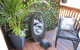 The Little Jungle Studio - thumb 3