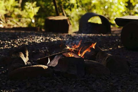 Carawirry Forest Escape - Holiday Byron Bay 5
