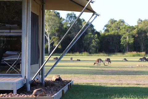 Habitat Noosa - Holiday Byron Bay 3