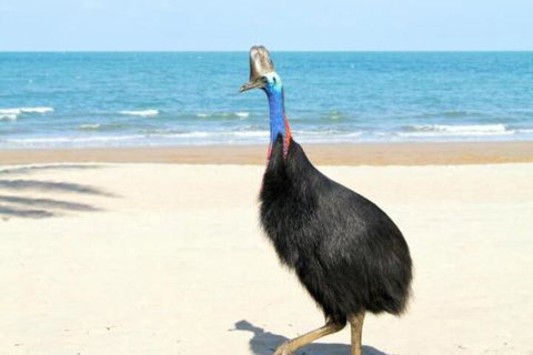 Kirrama 3 - Holiday Byron Bay 4