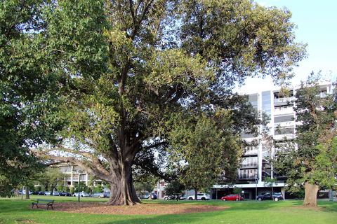 Adelaide Central Apartment - 3BR, 2Bath & Carpark - Holiday Byron Bay 1