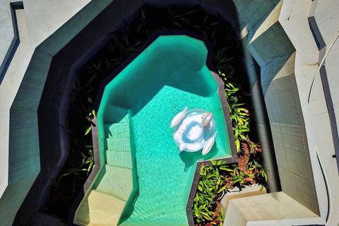 Alkira Award Winning Luxury Holiday Home - Holiday Byron Bay 6