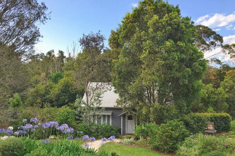 Abelia House - Holiday Byron Bay 1