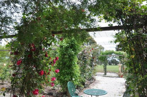 Fairy Wren Cottage Country To Coast Retreat - Holiday Byron Bay 1
