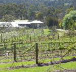 Eureka Farm