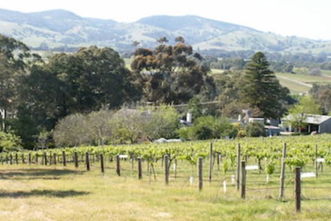 Archery Road Estate - Holiday Byron Bay 0