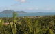 Stus Lookout - thumb 0