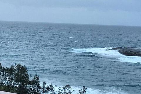 Absolute Oceanfront Cottage - Holiday Byron Bay 6