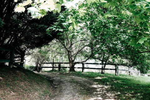 Braebrook Stunning Farm House! - Holiday Byron Bay 3