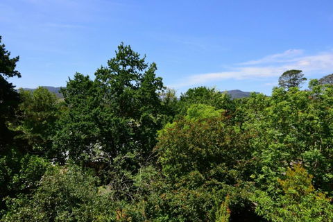 Cloudsong Chalet 3 Close To The Village Centre! - Holiday Byron Bay 6