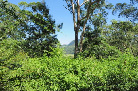 Love Shack 1 Bedroom Cosy Cottage! - Holiday Byron Bay 3