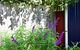 Lulu Hill Cottage Kangaroo Valley - thumb 7