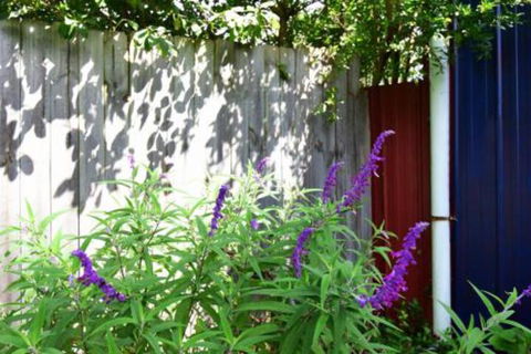 Lulu Hill Cottage Kangaroo Valley - Holiday Byron Bay 7