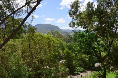 Treetops Newly Renovated In The Village! - Holiday Byron Bay 6