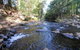 Willabrook Retreat Rest Cottage Spoil Yourself! - thumb 7
