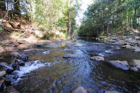 Willabrook Retreat Rest Cottage Spoil Yourself! - Holiday Byron Bay 7