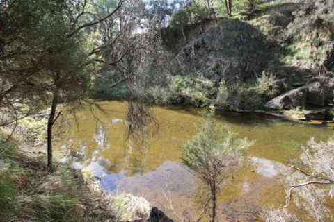 Alpine Streamside - Holiday Byron Bay 3
