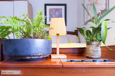 Beautiful Lush & Green Oasis Studio Apartment - Holiday Byron Bay 6