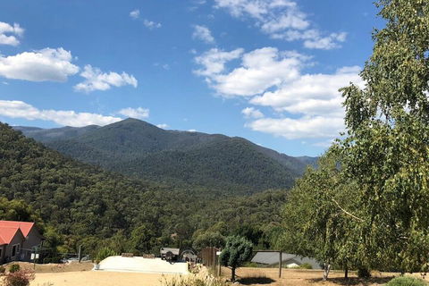 Alpine Stag Lodge Unit 2 - Holiday Byron Bay 7