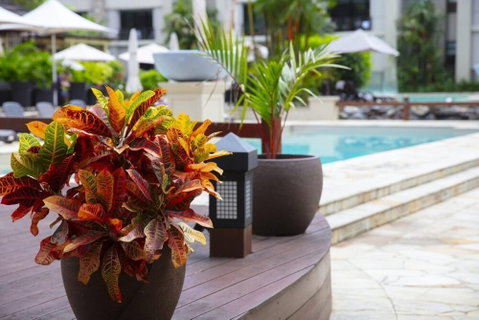 Temple 220 Newly Refurbished Studio - Holiday Byron Bay 4
