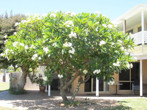 Kalbarri Riverfront Unit - Holiday Byron Bay 3