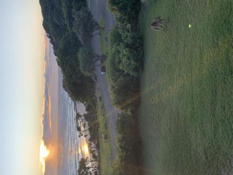 Acutterbove - Holiday Byron Bay 6