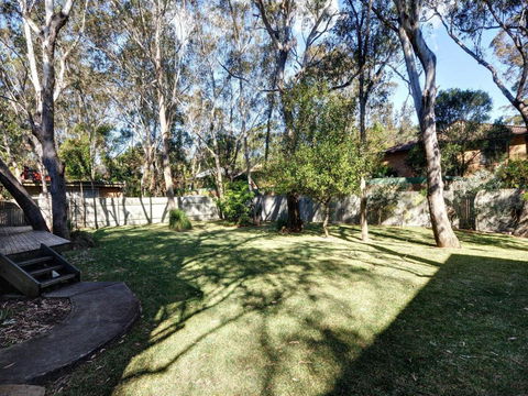 Pet Friendly Summer Cottage - Holiday Byron Bay 2