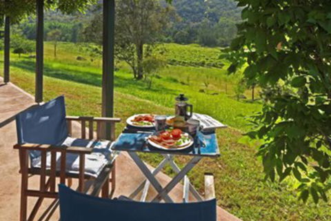 Cedar Creek Cottages - Holiday Byron Bay 1