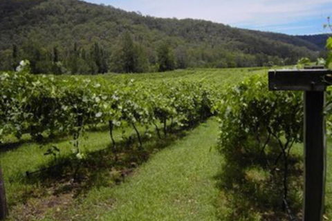 Cedar Creek Cottages - Holiday Byron Bay 2