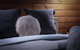 Kangaroo Valley Timber Cabin - thumb 4
