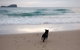 Breakers At Mudjimba Beach - thumb 0