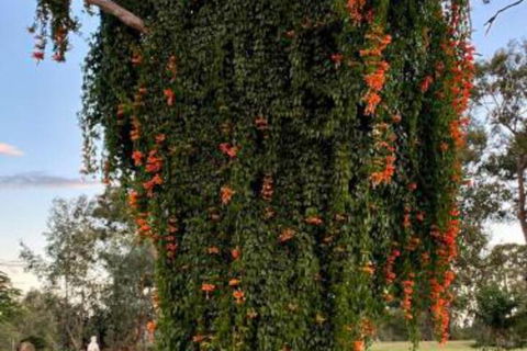Amarina Farm Stay & Gardens - Holiday Byron Bay 6