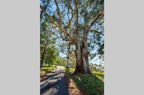 WOOLWAY - Holiday Byron Bay 2