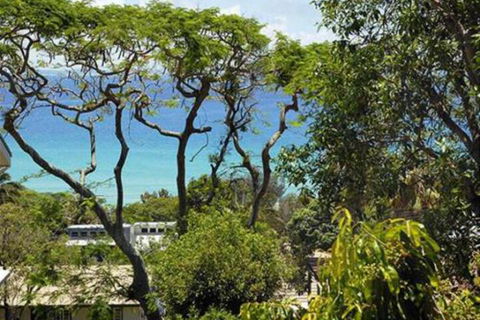 At Cylinder Unit 3 - Holiday Byron Bay 6