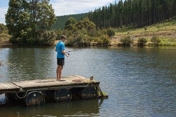 Nannup Valley Chalets - Holiday Byron Bay 1
