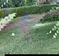 Manly's Hidden Gem - Holiday Byron Bay