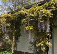 Clarence Cottage - Holiday Byron Bay