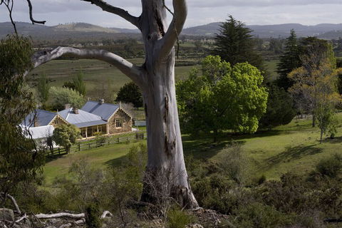 Brockley Estate - Holiday Byron Bay 6