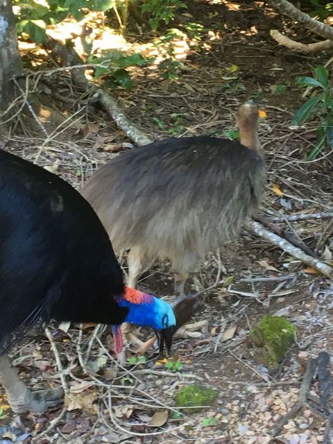Licuala Lodge - Holiday Byron Bay 1