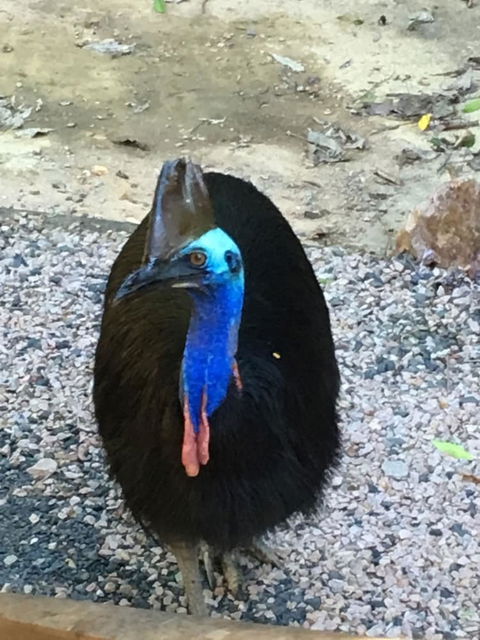 Licuala Lodge - Holiday Byron Bay 0