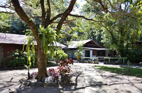 PKs Jungle Village - Hostel - Holiday Byron Bay 5