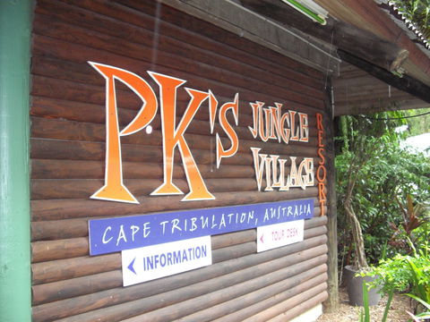 PKs Jungle Village - Hostel - Holiday Byron Bay 0