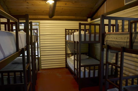 PKs Jungle Village - Hostel - Holiday Byron Bay 6