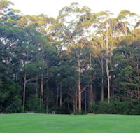 Tinglewood Cabins