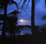 Sejala Beach Huts - Holiday Byron Bay