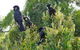 Eagles Rise Tasmania - thumb 5